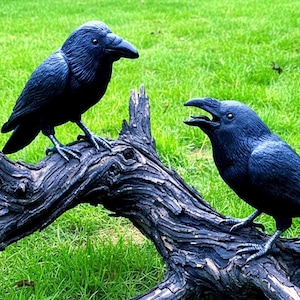 Raven Pottery Sculpture Template: for hand building in clay with Video Class (PDF Pattern)