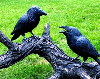 Raven Pottery Sculpture Template: for hand building in clay with Video Class (PDF Pattern)