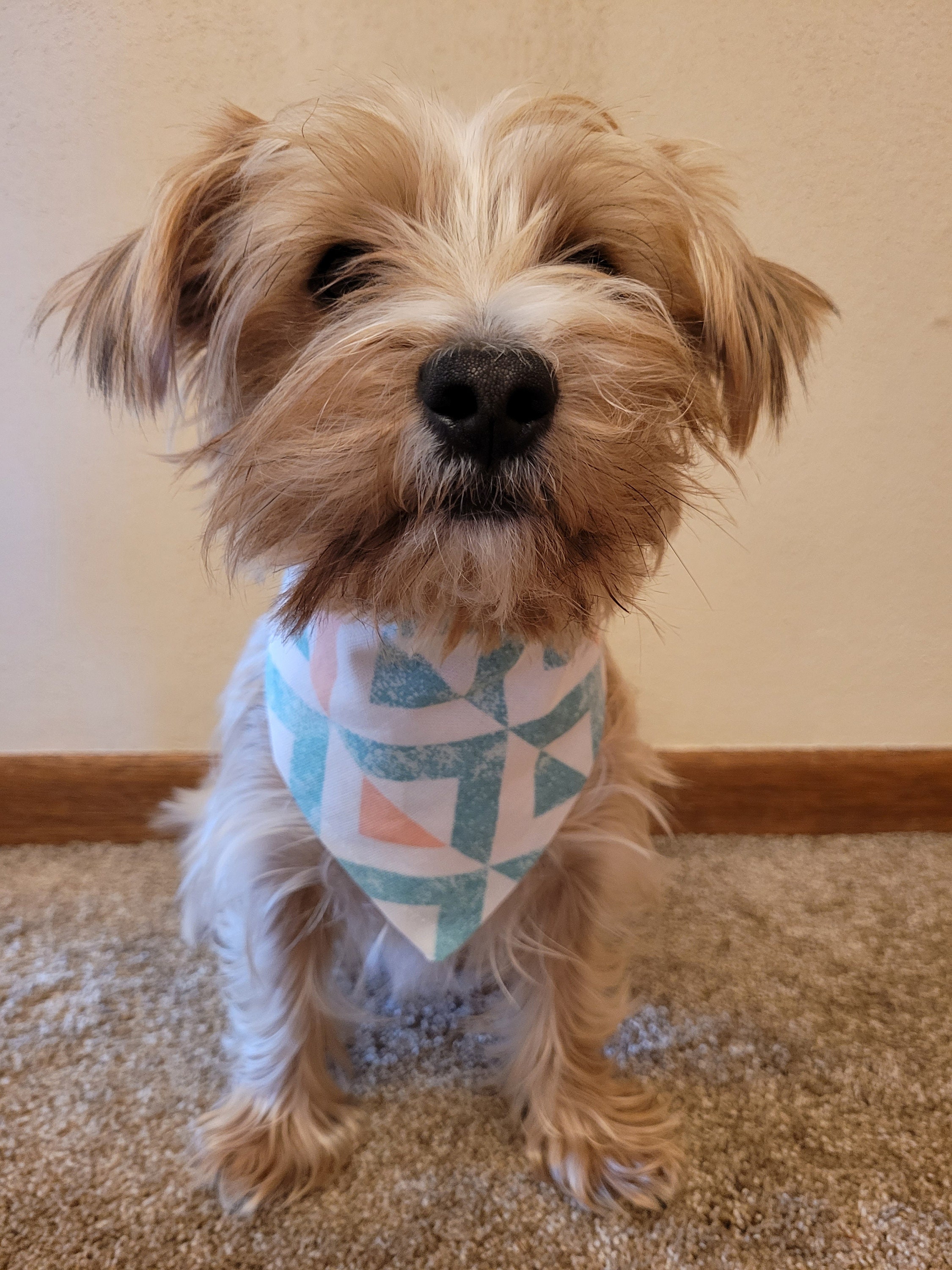 Azteken Hund Bandana Petrol Hund Bandana Pfirsich Hund Etsy