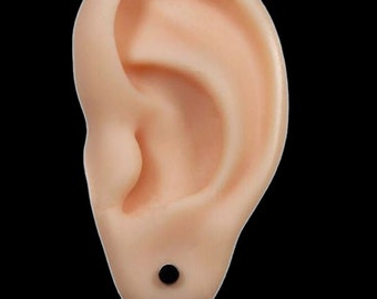 Stainless Steel • Pair of Fake Plugs 16G • Steel Finish, Screw Studs, Earrings, Cheaters