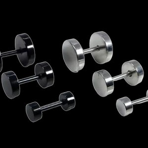 Stainless Steel • Pair of Fake Plugs 16G • Steel Finish, Screw Studs, Earrings, Cheaters