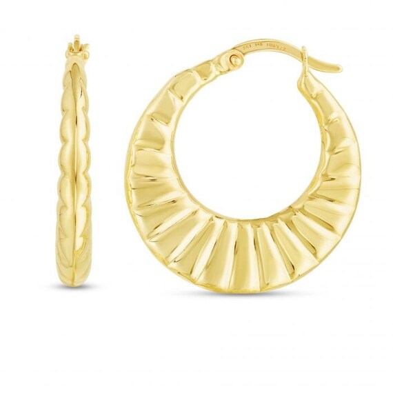 Hinged clasp hotsell hoop earrings