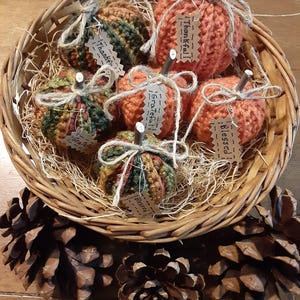 Peut inclure: Un panier en osier rempli de citrouilles crochetées à la main, de couleurs orange, verte et marron. Chaque citrouille a une tige en brindille et une petite étiquette avec des mots comme "Reconnaissant" et "Béni". Des pommes de pin sont disposées autour du panier.