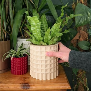 Puede incluir: Una colección de macetas decorativas de varios tamaños y colores. La maceta más grande es beige con un patrón geométrico y contiene una planta verde. También se ve una maceta roja más pequeña. Las macetas están sobre una superficie de madera.