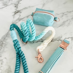 Collier pour chien en cuir végétalien en liège durable fait à la main|| || de laisse de corde en coton écologique Porte-sac à caca imperméable à l’eau || Kit de démarrage pour chiot SKY BLUE