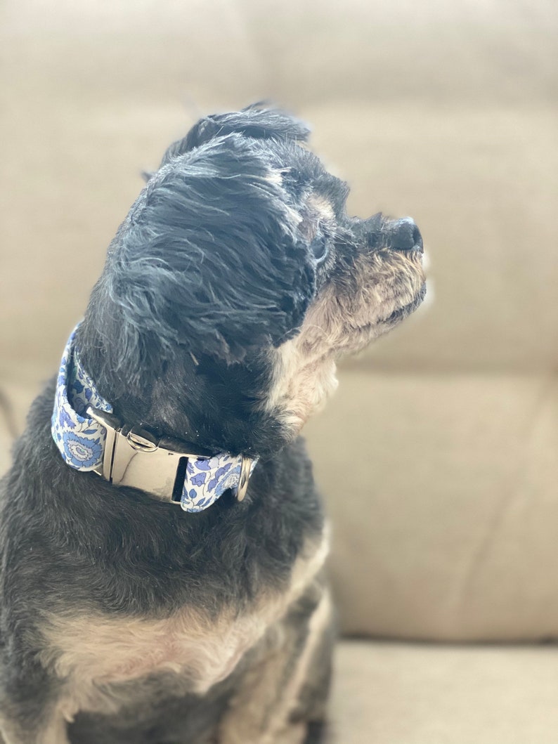 Liberty of London Spring Girl Dog Collar Weather Dog Collar Puppy adjustable dog collar| pet collar |Metal buckle Small Dog Collar