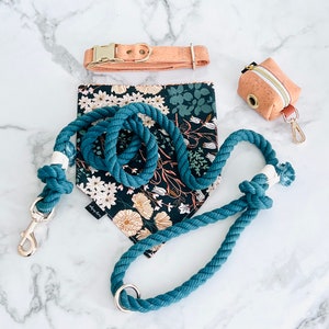 BLUE BELLS Dog Collar, Leash, bandana Set with matching poop bag holder puppy dog mom Gifts fall Thanksgiving trend Small/medium large dog