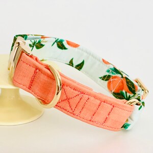May include: A peach and green floral patterned dog collar with a gold metal buckle and D-ring.