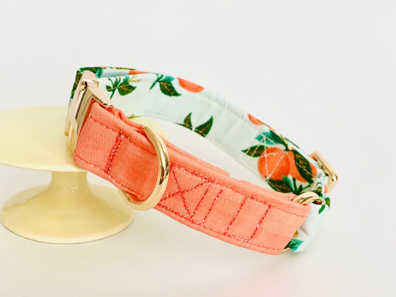 May include: A peach and green floral patterned dog collar with a gold metal buckle and D-ring.
