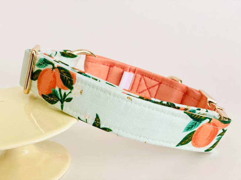 May include: A light blue dog collar with a peach and green citrus print. The collar has gold hardware and a pink lining.