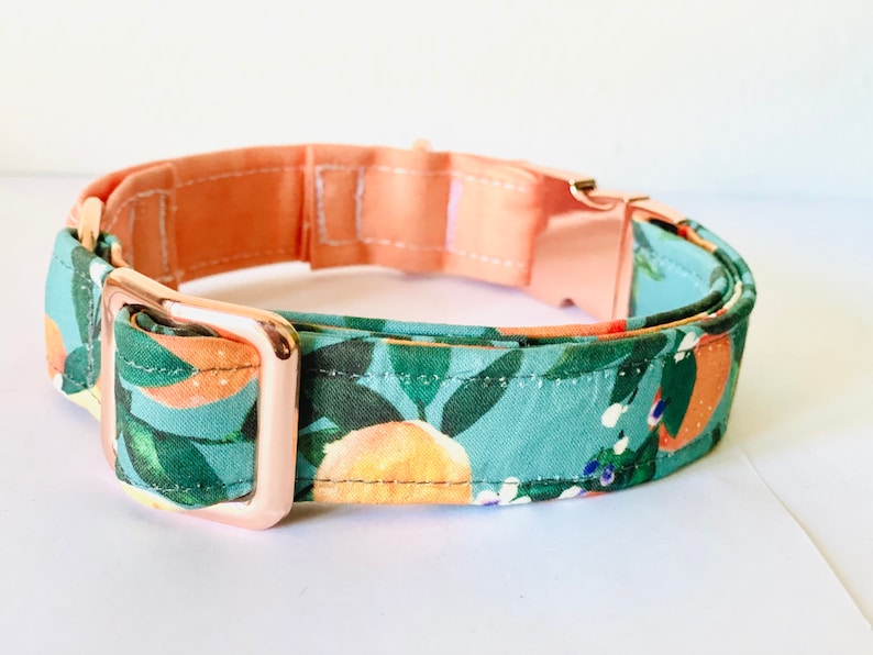 May include: A dog collar featuring a teal fabric with an orange and leaf pattern. The collar has a peach-coloured lining and rose gold hardware, including a buckle and adjuster.