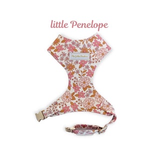 Handmade Adjustable Chest HARNESS For small medium Dogs, breathable Padded washable with light gold hardware- Little Penelope in Valentine