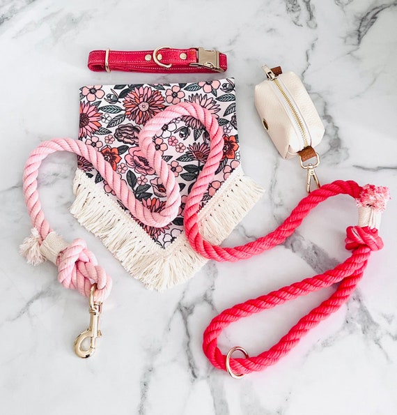 RETRO FLORAL Dog Collar, Leash, bandana Set with matching poop bag holder puppy training dog mom Gifts summer trend Small/medium dog