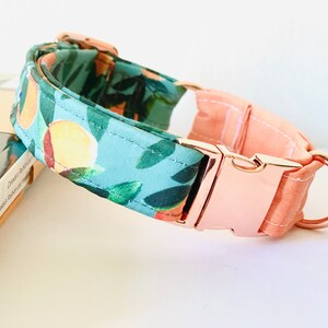 May include: A dog collar with a floral pattern of oranges and green leaves on a light blue background. The collar has a peach-coloured section and a rose gold metal buckle and ring.