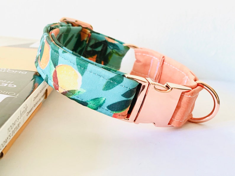 May include: A dog collar with a floral pattern of oranges and green leaves on a light blue background. The collar has a peach-coloured section and a rose gold metal buckle and ring.