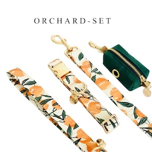 Orchard Dog Collar and Leash Set avec porte-sac à excréments, collier et laisse pour chien d’été / automne, accessoires de promenade pour chiens Designer Dog Gifts