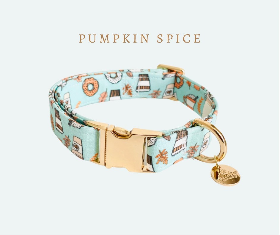 etsy dog collar with name