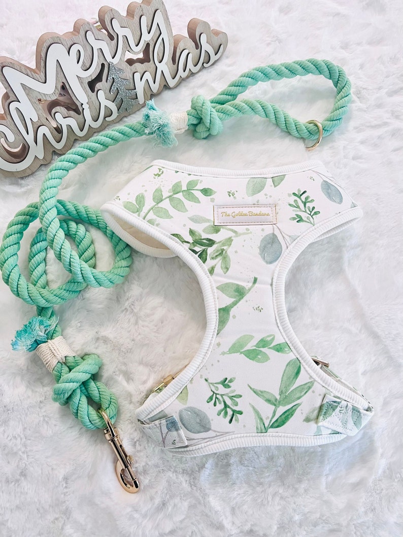 DOG ADJUSTABLE Chest HARNESS With Matching Rope Leash Walking - Etsy