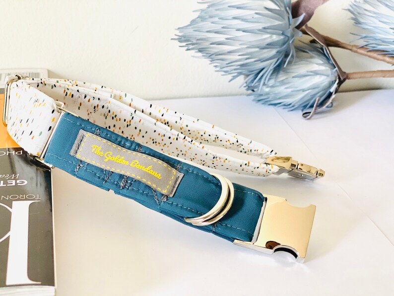 May include: A teal blue dog collar with a white and gold confetti pattern, a silver buckle, and a label that reads "The Golden Bandana".