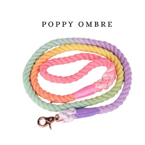 May include: A multi-coloured rope dog lead with a pink, yellow, orange and green ombre design. The lead has a rose gold metal clip. The text "POPPY OMBRE" is printed above the lead.