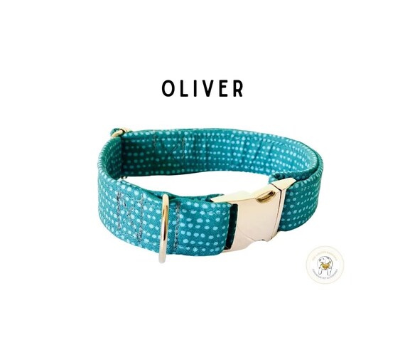Dog collar Teal Spring Fashion  | small medium Dog Collar |  Small Dog leash | Puppy adjustable dog collar| pet collar |Metal buckle