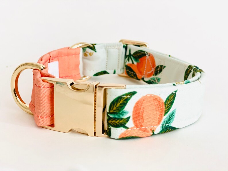 May include: A white and peach dog collar with a gold buckle and a citrus fruit print. The collar is made of fabric and has a soft, comfortable feel.