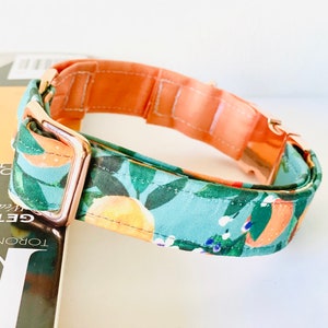 May include: A dog collar featuring a teal fabric with an orange and green leaf pattern. The interior is peach-coloured, and the hardware is rose gold. The collar is resting on a book.