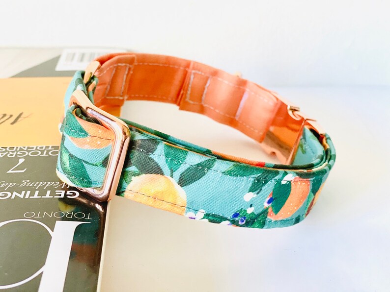 May include: A dog collar featuring a teal fabric with an orange and green leaf pattern. The interior is peach-coloured, and the hardware is rose gold. The collar is resting on a book.