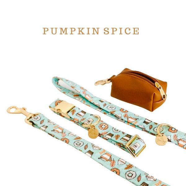 PUMPKIN SPICE Dog Collar and Leash Set with Poop bag holder, fall dog collar and Leash, Designer Dog Gifts dog walking accessories