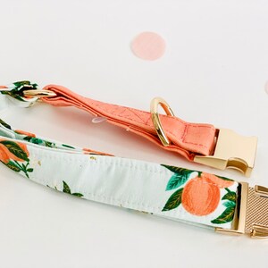 May include: A white and peach dog collar with a gold buckle and a gold ring. The collar has a floral pattern with peach fruit and green leaves.