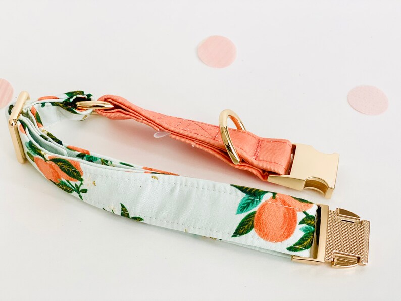 May include: A white and peach dog collar with a gold buckle and a gold ring. The collar has a floral pattern with peach fruit and green leaves.