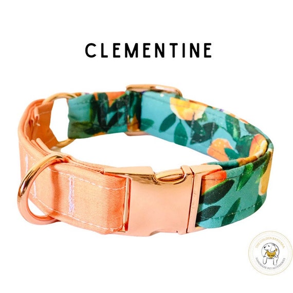 Dog Collar/leash Clementine | Summer fashion fabric Collar | Rose Gold Metal Hardware | Puppy dog collar| Dog lover gift | Pet accessories