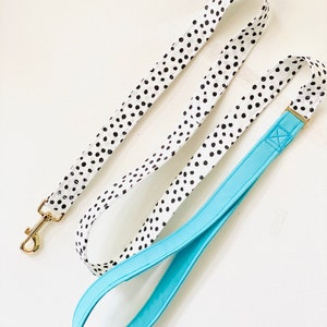Spotty and Teal matching Dog Leash, Traffic Leash, Lead, 3ft, 4ft, 5ft, 6ft, Puppy leashes Canada, two-tone modern soft durable leash