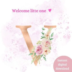 Announcement card baby newborn digital file sociale media gender reveal girl welcome little one
