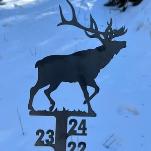 Snow Gauge
