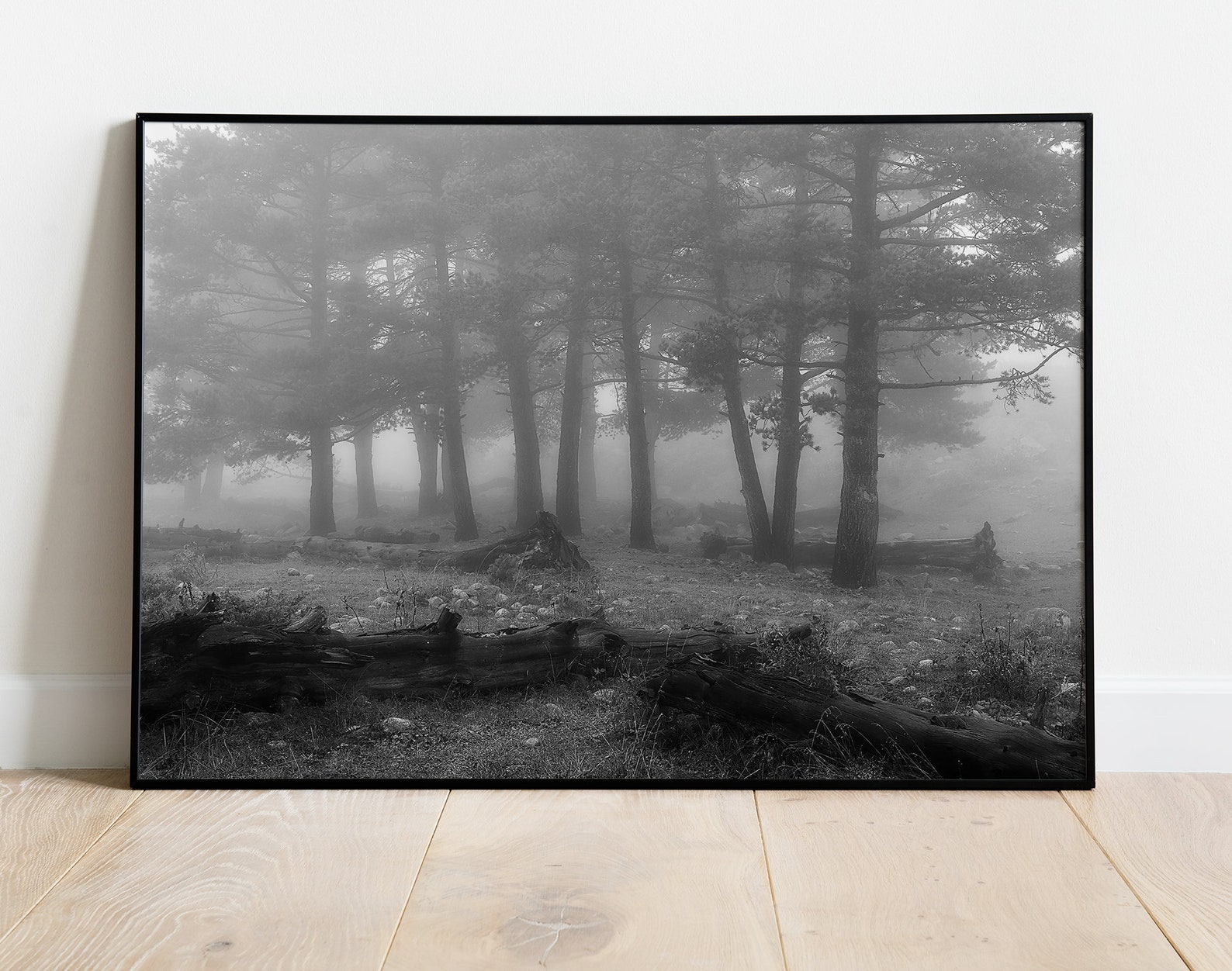 Fine Art Photography Forest Wall Art Nature Wall Decor Etsy