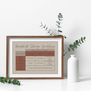 May include: A brown framed printable chart with the title "Breastmilk Storage Guidelines". The chart lists storage locations and temperatures for different types of breastmilk, including fresh, refrigerated, and frozen.