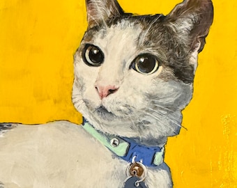 May include: A white and gray cat with brown eyes wearing a blue collar with a light blue tag that says "Gus" on a yellow background.