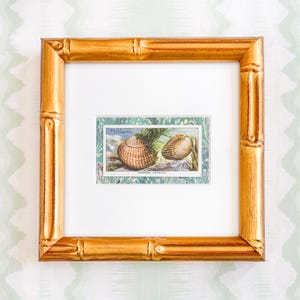 Gerahmte Vintage-Zigarettenkarte mit Meeresmotiven, Gemeine Herzmuscheln