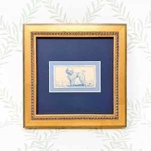 Cigarette Frame