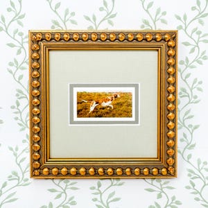 May include: A square, ornate gold frame with a beaded edge detail surrounds a light grey matting. Centred within the matting is a small, rectangular print depicting a brown and white dog running through a field of tall, dry grass.