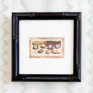 Gerahmte Vintage-Zigarettenkarte mit Meeresmotiven, Muscheln