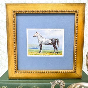 Framed Antique Horse Cigarette Card c. 1939, Welsh Pony
