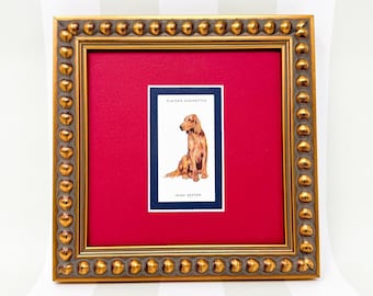 Framed Antique Dog Cigarette Card c. 1929, Irish Setter