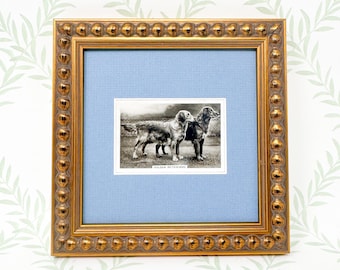 Cartão de cigarro vintage emoldurado com cachorro, c. 1939, Golden Retriever