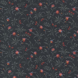 Moda - FLORENCE&#39;S FANCY - Quilt Fabric-by-the-1/2yard    by Betsy Chutchian   31662 15   Black Ink
