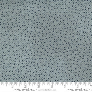Moda Fabrics - ASTRA - Fabric-by-the-1/2 yard by Janet Clare 16924 16 Stellar   Multiple Quantities Cut In One Continuous Piece