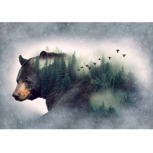 May include: A black bear silhouette with a misty forest scene inside its body. The bear is facing left and the forest is filled with green trees and a flock of birds flying overhead.