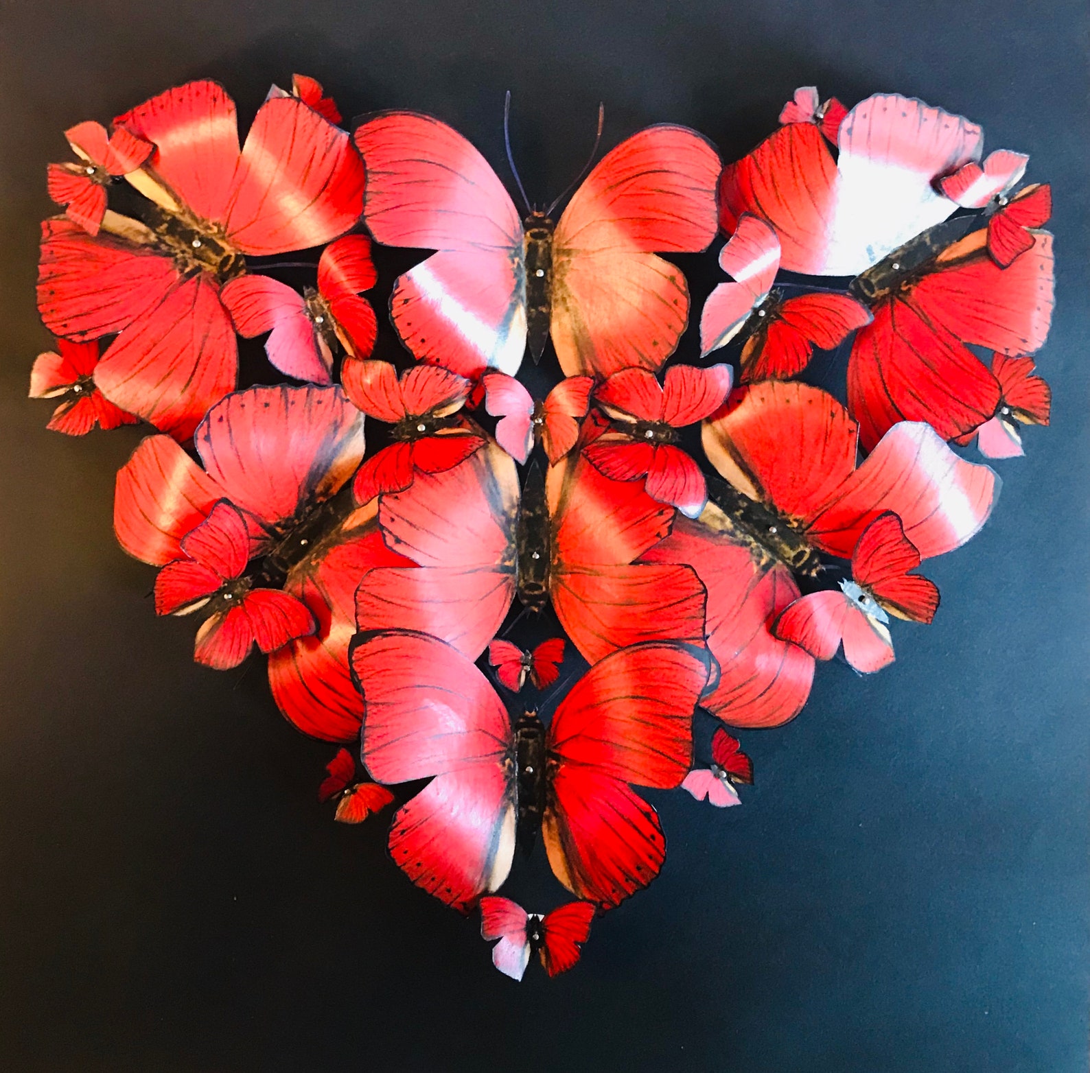 Local taxidermy essay image