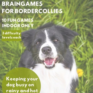 Braingames for Bordercollies